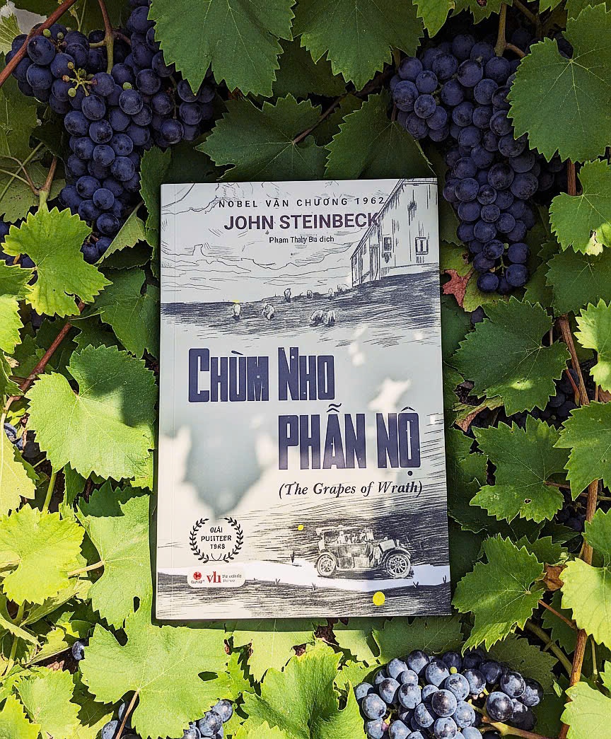 Chum nho phan no anh 1