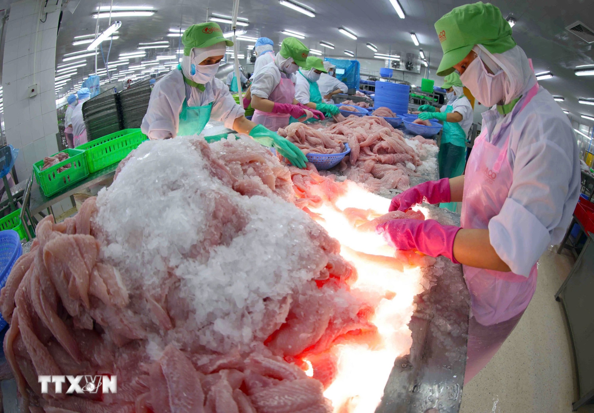 Dang bo Chinh phu anh 9