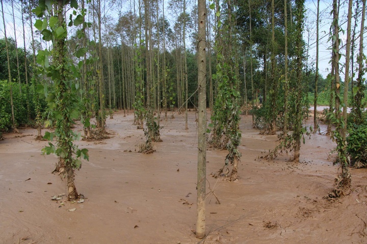 Vo ho chua Thai Nguyen anh 2