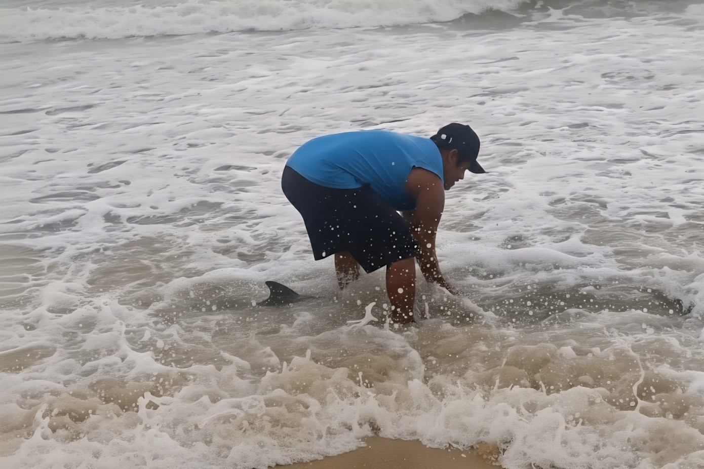 Ca heo mac can Hue anh 2