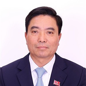 Nguyen Doan Anh anh 1