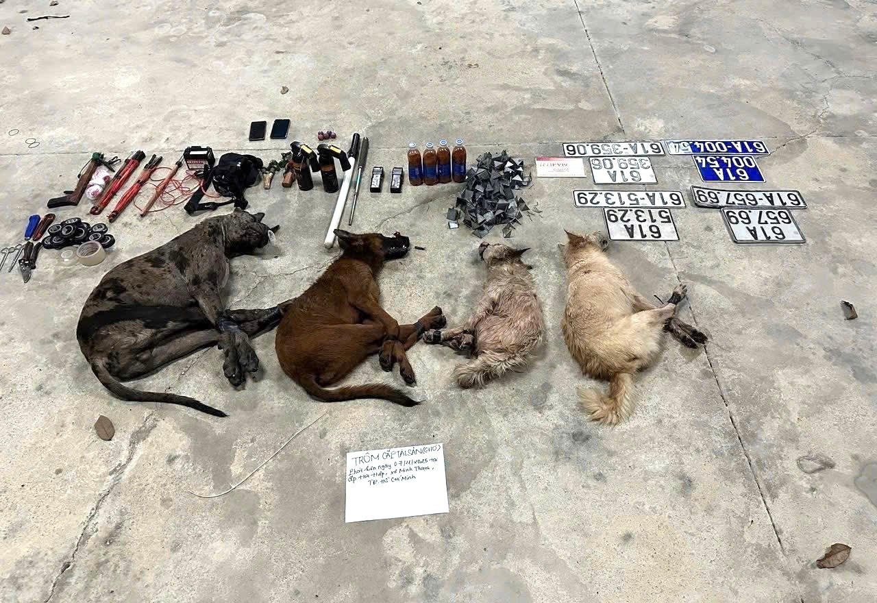 trom cho TP.HCM anh 4