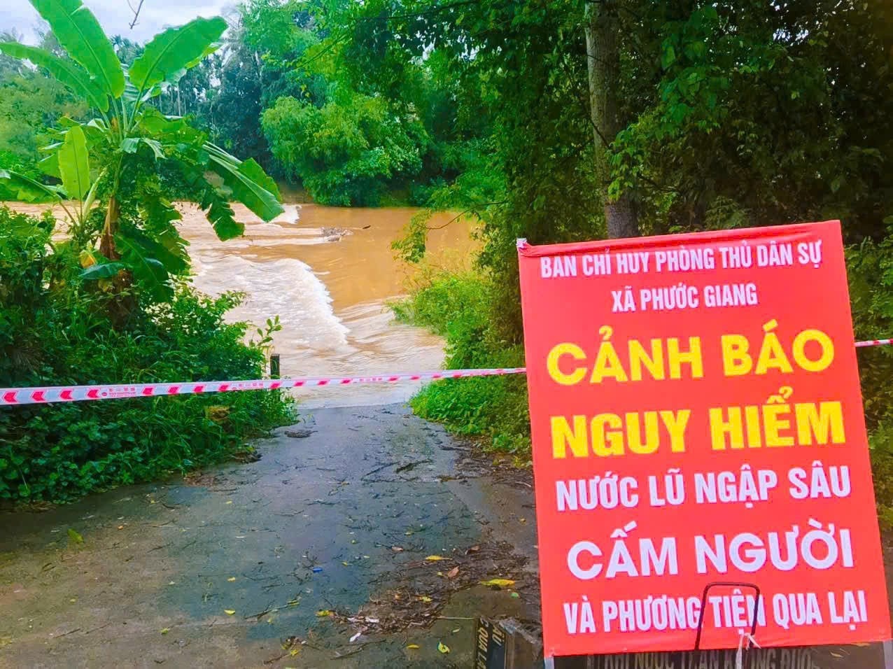 Bao so 12 bao Fengshen anh 5