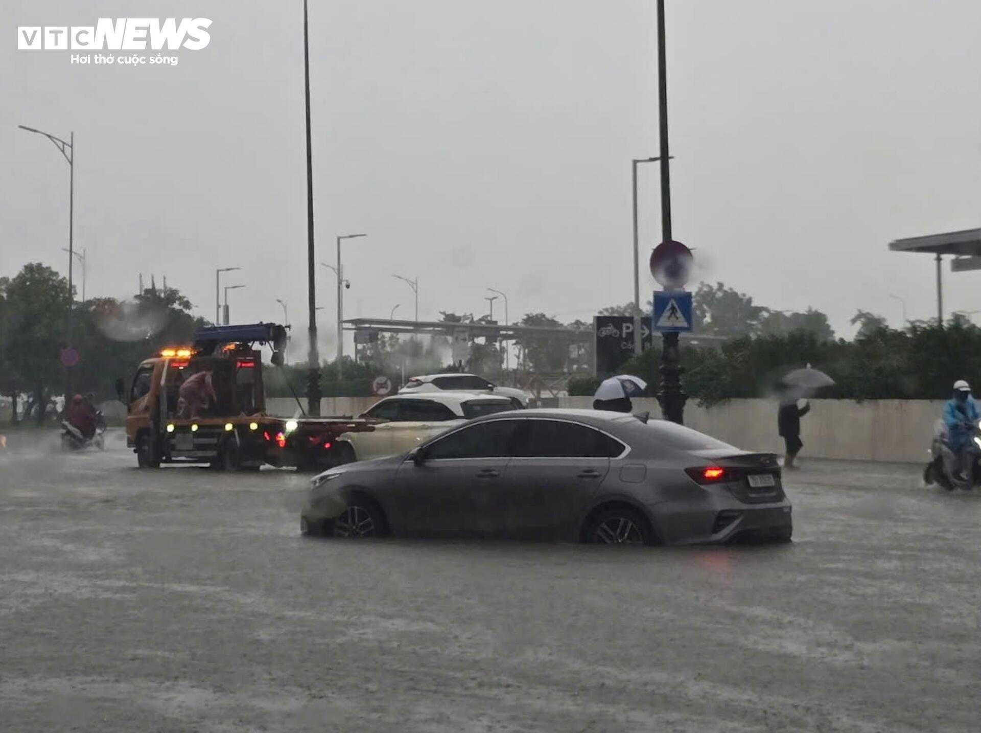 Mua lon o Hue anh 13