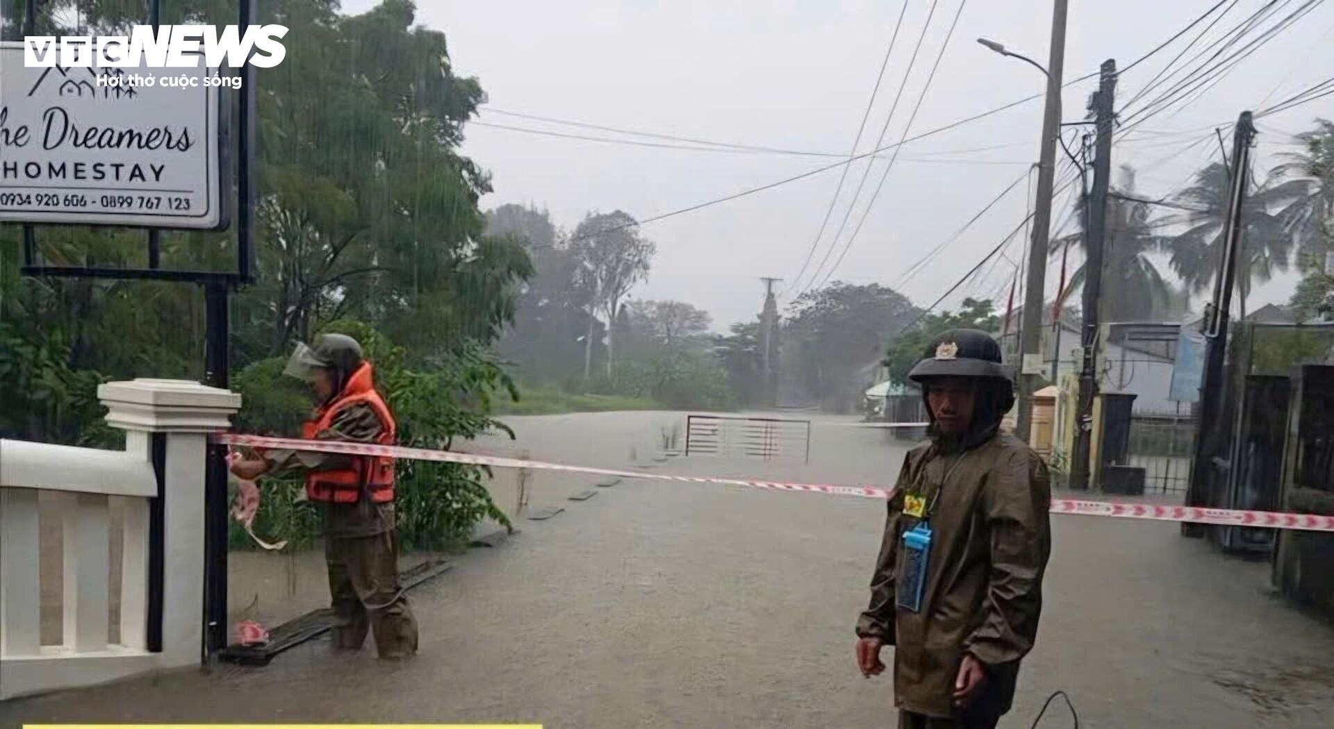 Mua lon o Hue anh 12