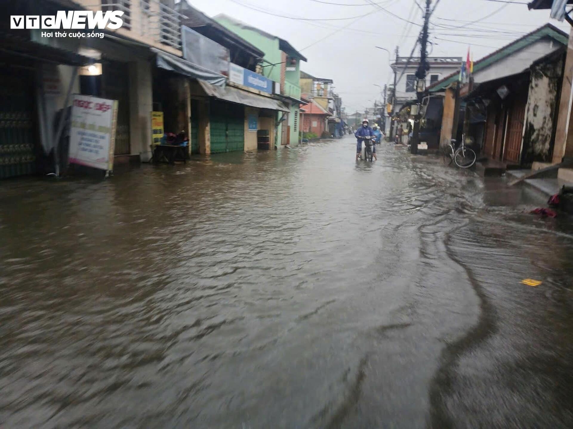 Mua lon o Hue anh 11