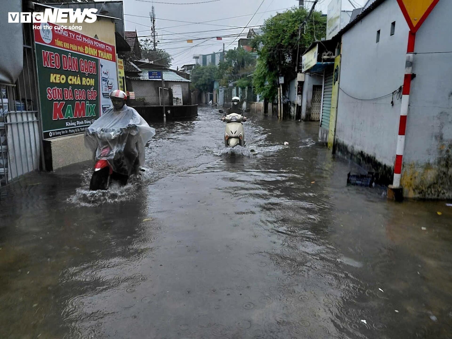 Mua lon o Hue anh 10
