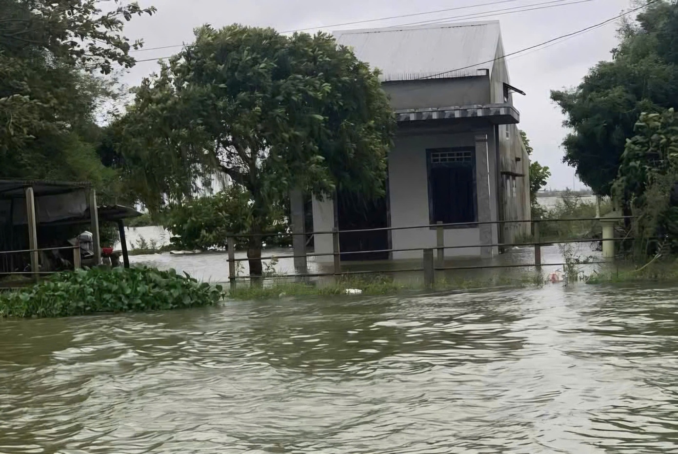 Mua ngap Hue anh 4