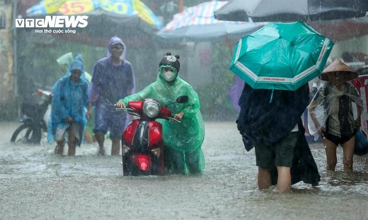 Bao so 12 bao Fengshen anh 1