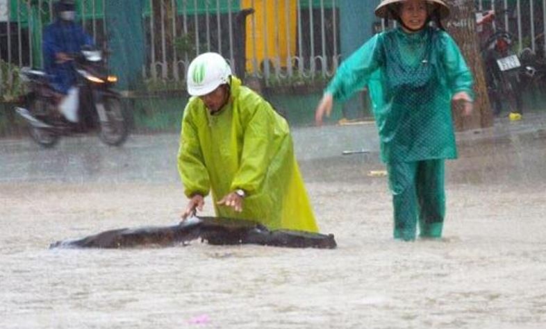 Thoi tiet 23/10: Mien Trung cao diem mua to, nguy co lu lon hinh anh