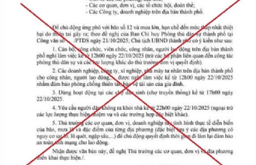 Da Nang bac tin cho can bo nghi lam, dung hoat dong cho tranh bao hinh anh