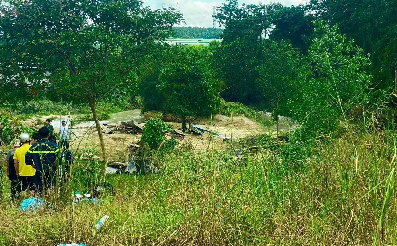 Tim cu ba o TP.HCM mat tich, nghi bi mua lon cuon troi hinh anh