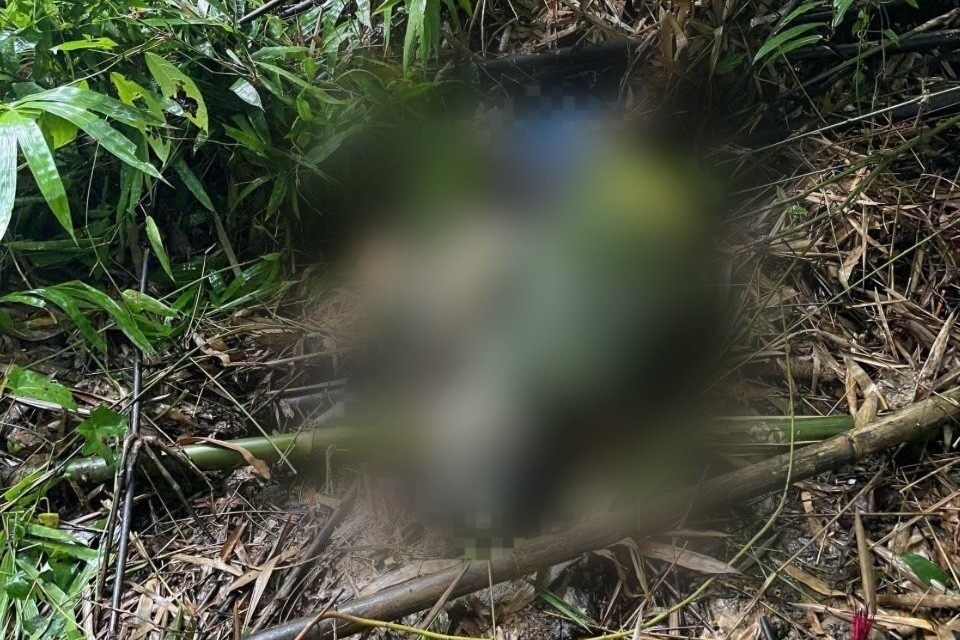 Nguoi chet voi rung anh 1