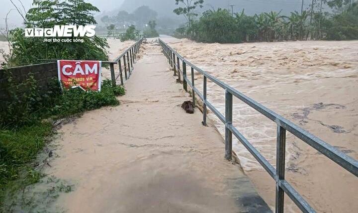 Bao so 12 bao Fengshen anh 1