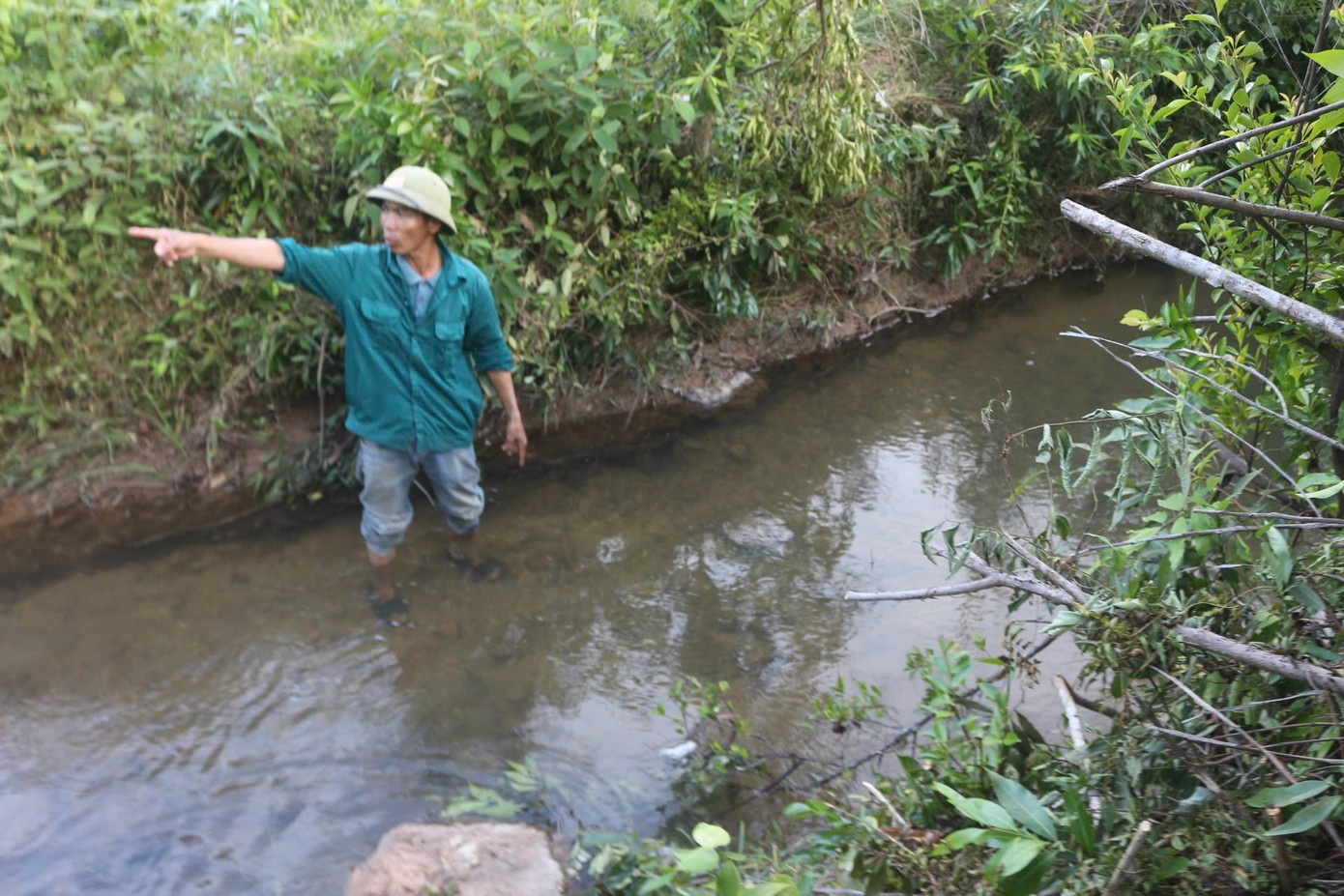 Phat trang trai lon anh 1