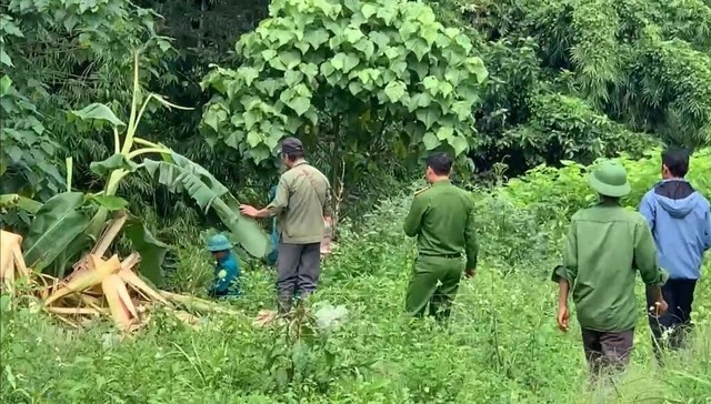 Canh bao nguoi dan tranh noi 3 con voi rung xuat hien hinh anh