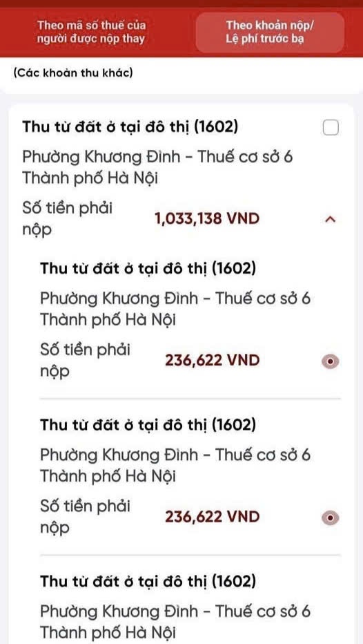 Ban nha dong thue anh 1