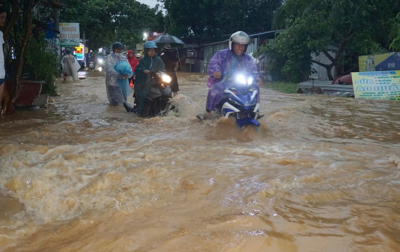 Mua to anh 1