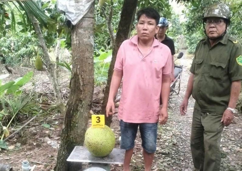 Bi khoi to vi trom hai trai mit hinh anh