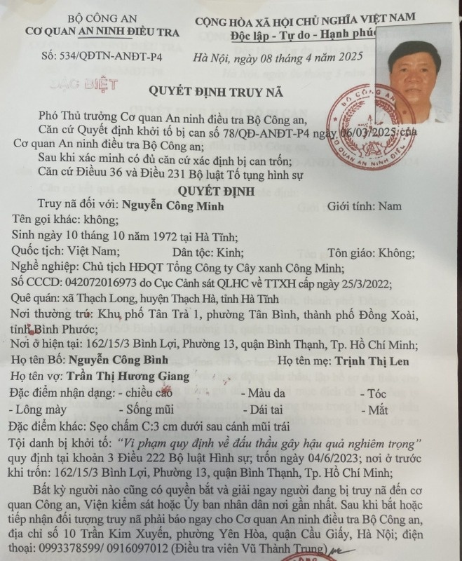 Cây xanh Công Minh ảnh 1 Cay xanh Cong Minh anh 1
