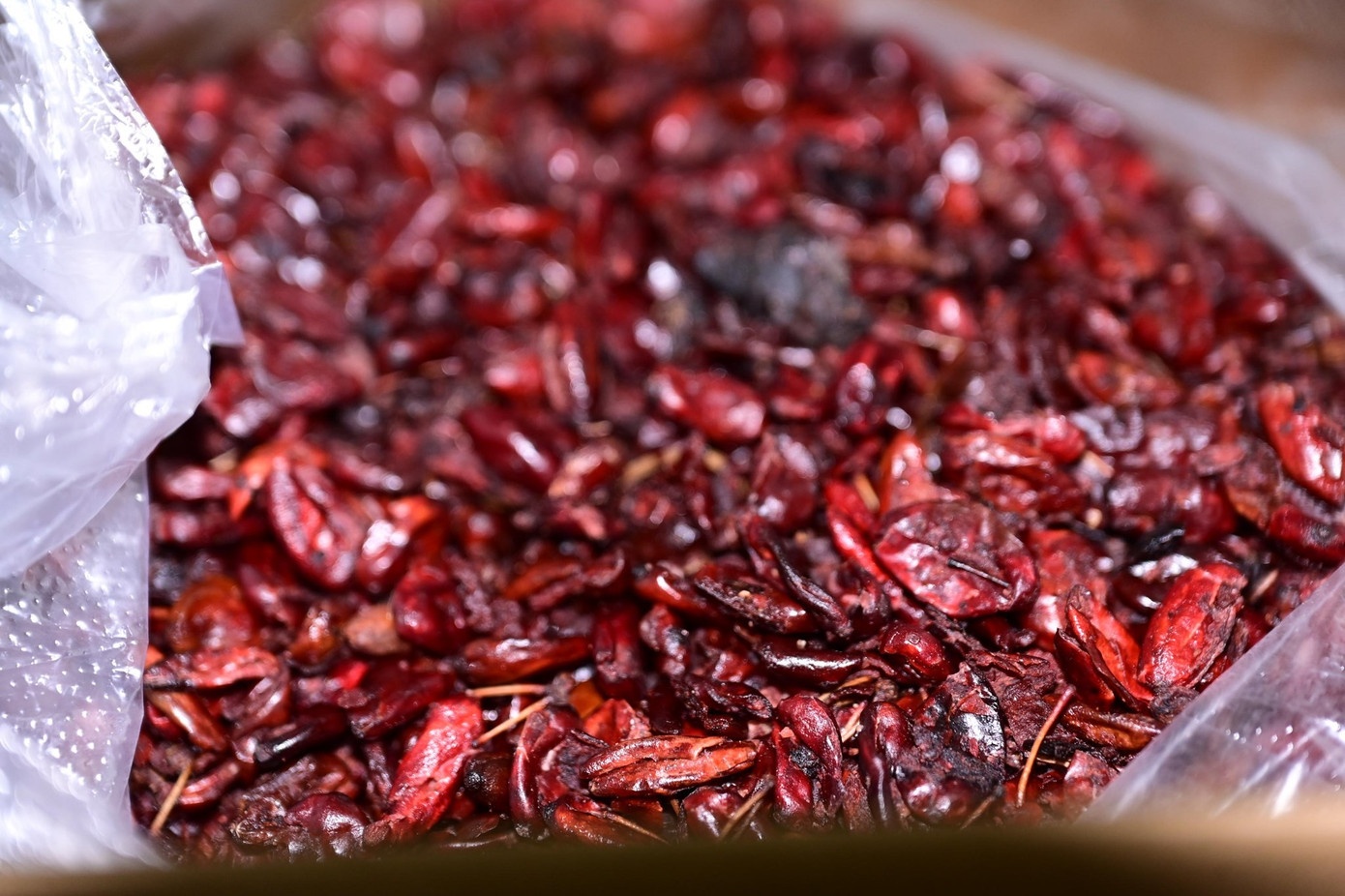 Nu quai Hai Phong anh 1