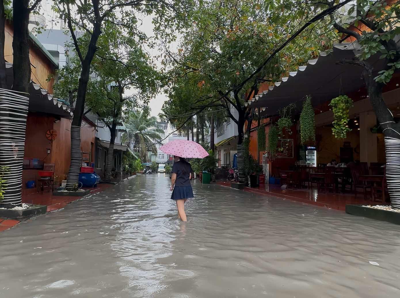 Mua trieu cuong TP.HCM anh 3