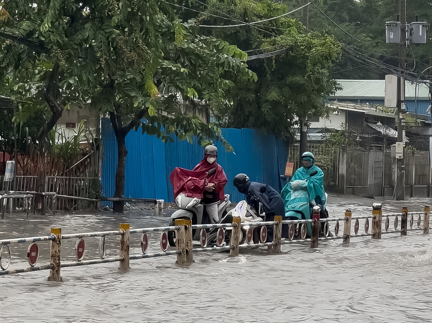 Mua trieu cuong TP.HCM anh 4