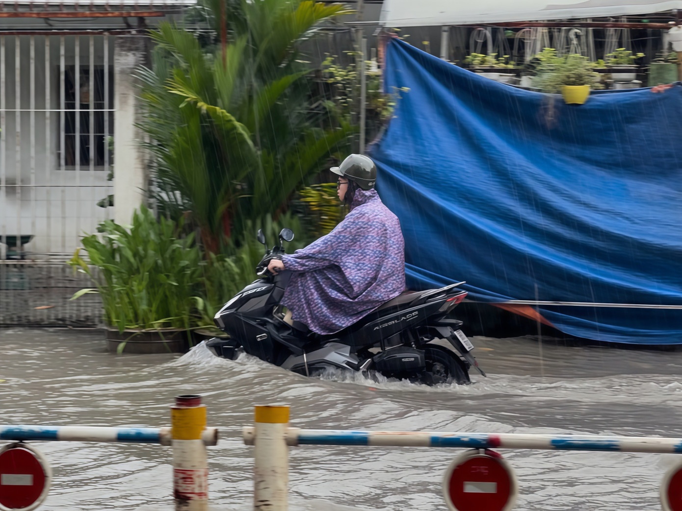 Mua trieu cuong TP.HCM anh 6