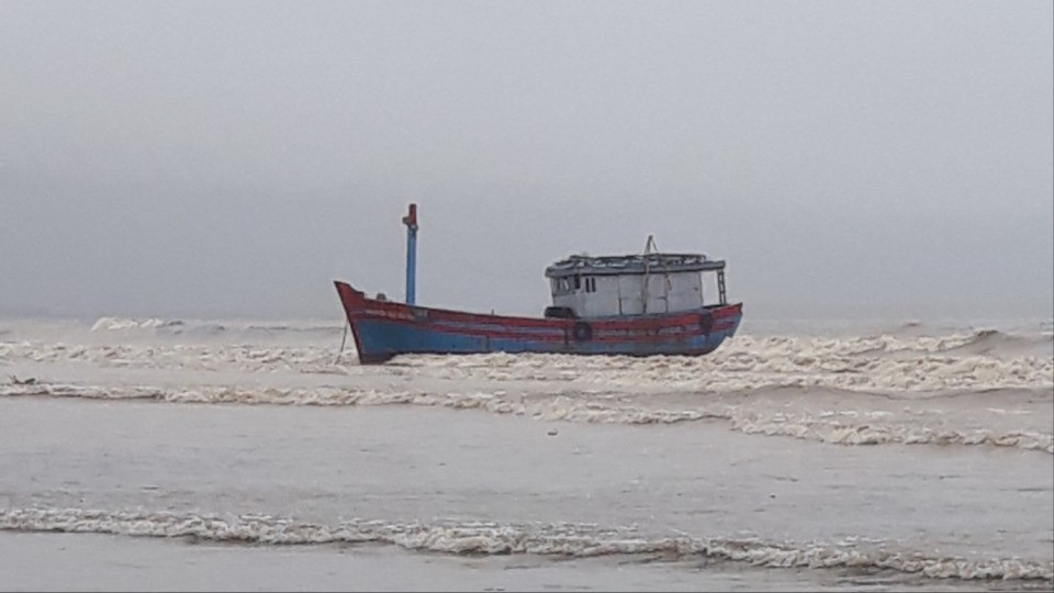 Lu lich su Quang Ngai anh 6