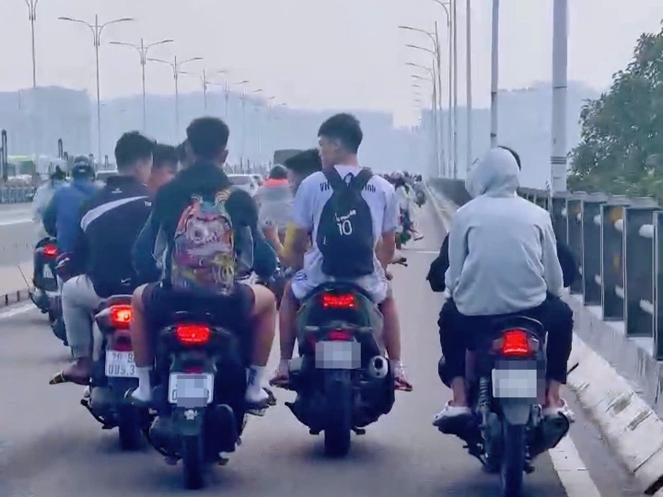 Choai choai cầu Vĩnh Tuy ảnh 1 Choai choai cau Vinh Tuy anh 1