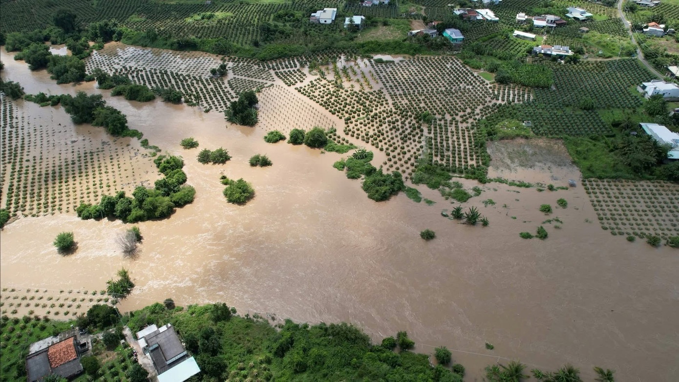 Mot nguoi o Dak Lak bi set danh tu vong khi cho tom hum an hinh anh