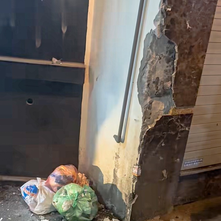 Xe tai dien mat lai anh 3