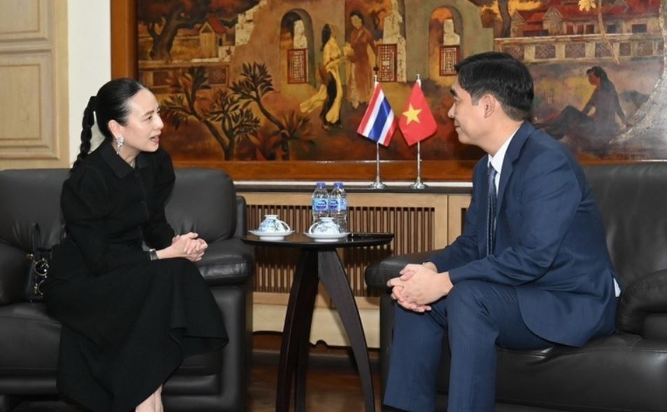 Madam Pang xin loi ve su co hien thi sai Quoc ky Viet Nam hinh anh