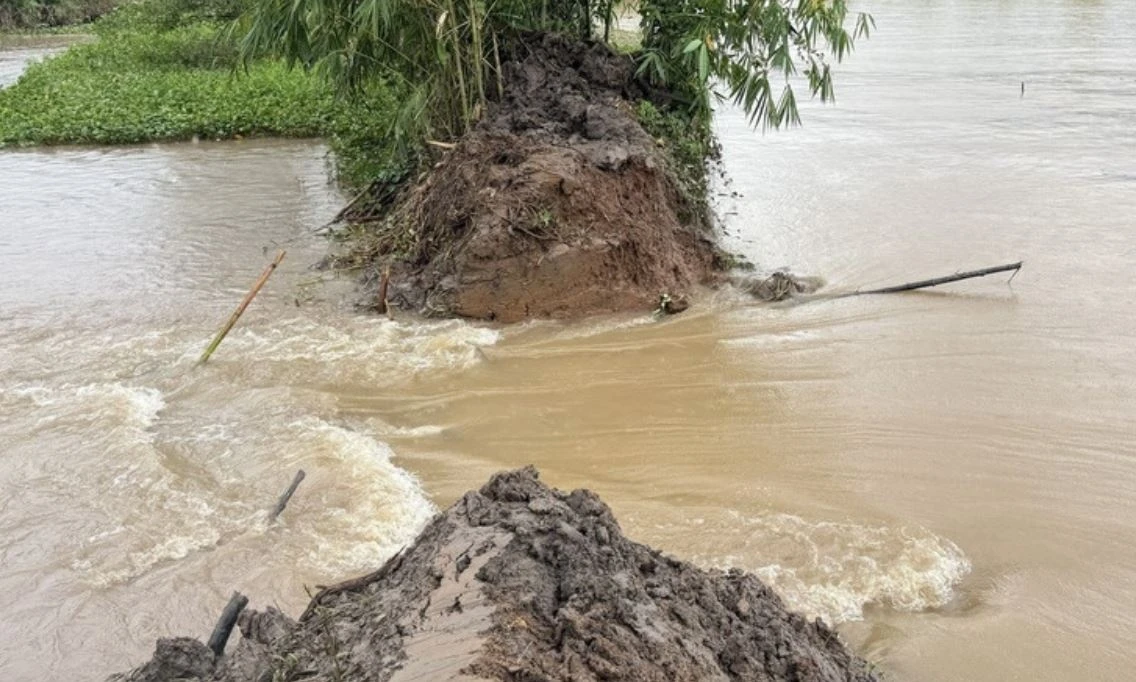 Vo de bao con Son khi trieu cuong lap dinh lich su moi hinh anh