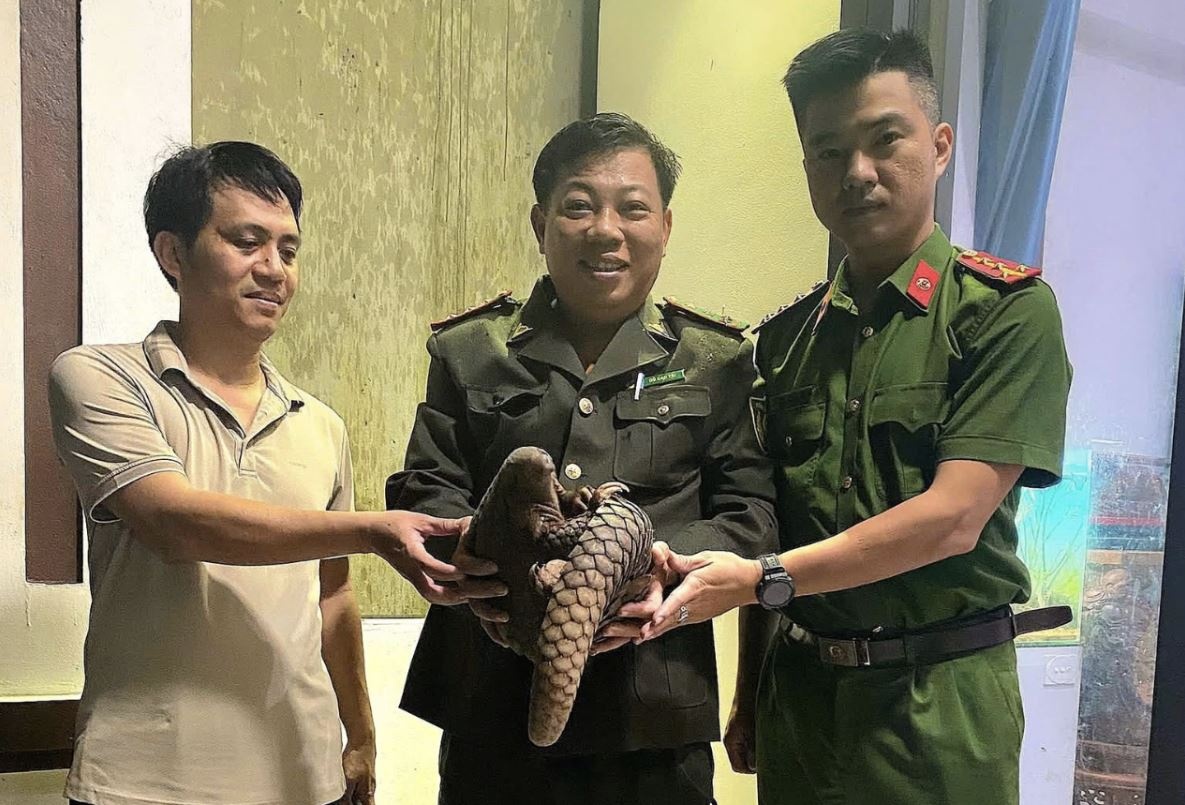 Te te quy hiem bo tren duong pho Quang Tri hinh anh