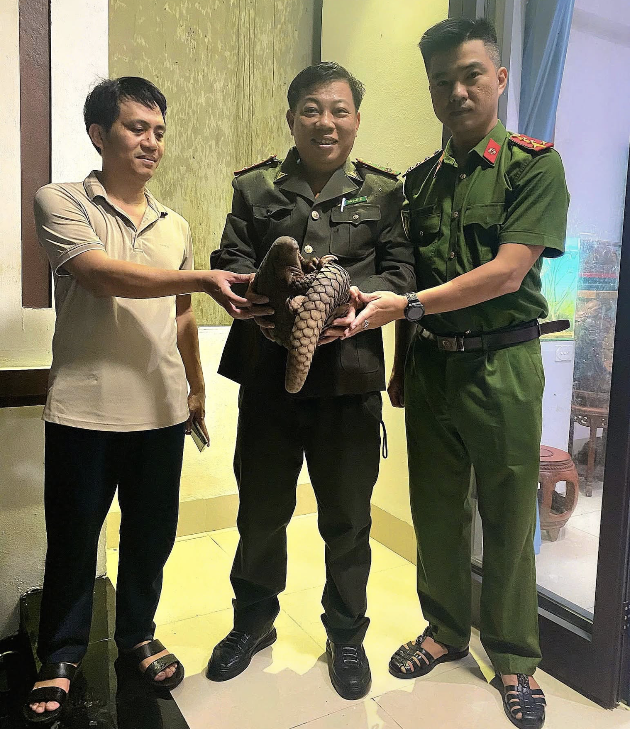 Te te bo tren duong anh 1