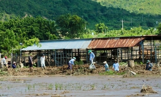 Chu ho chua nuoc bi vo lam chet nguoi o Lam Dong len tieng hinh anh