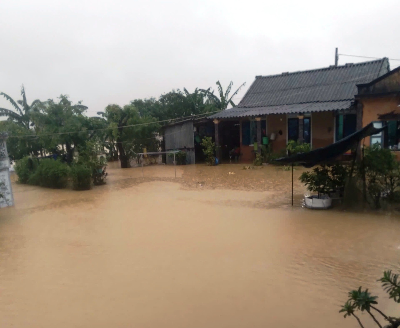 Lu lich su Hue anh 1