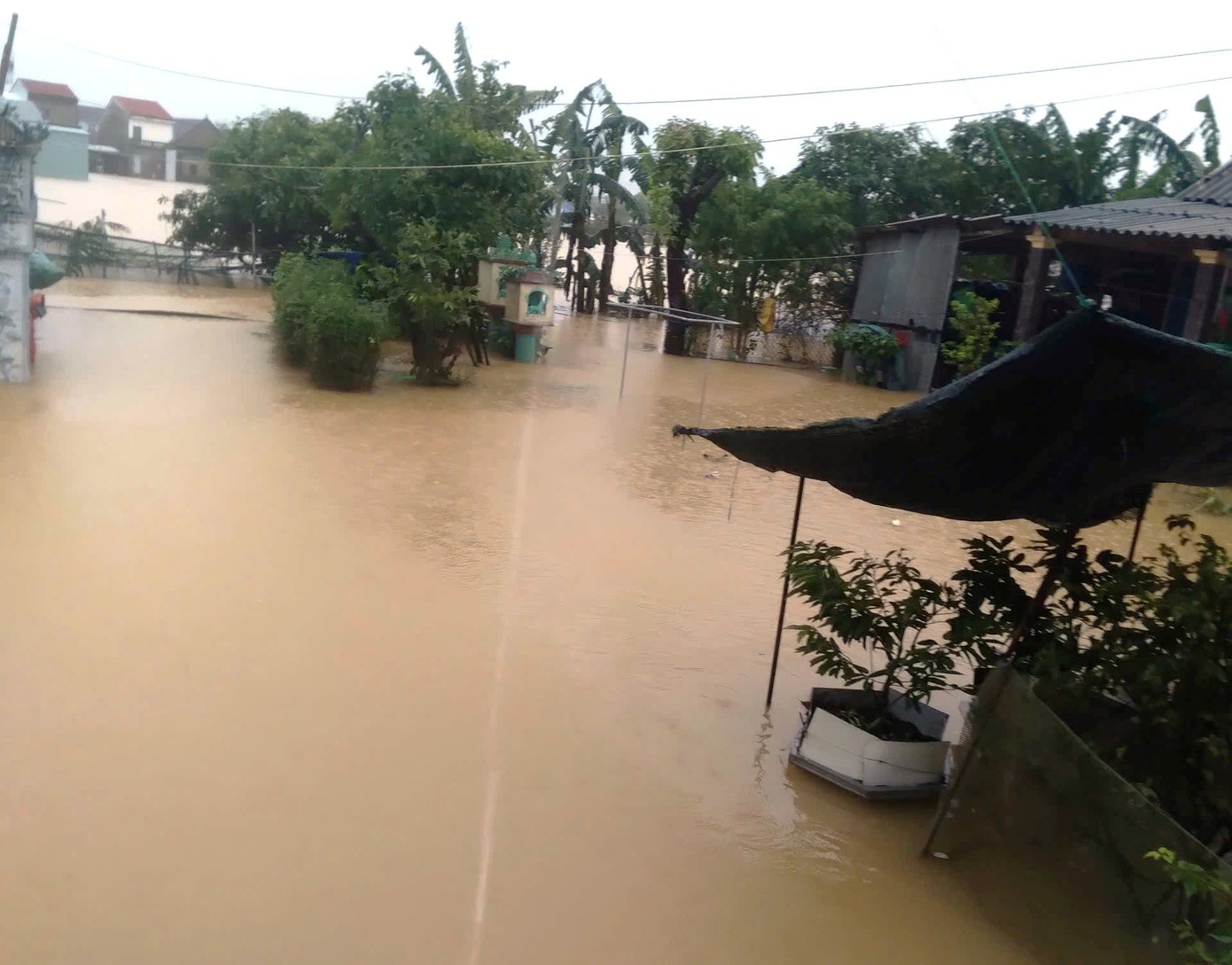 Lu lich su Hue anh 2