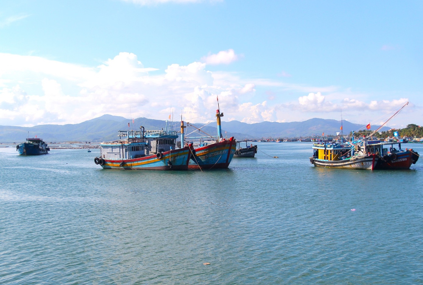 Gia Lai len kich ban so tan hon 128.000 dan vi bao Kalmaegi hinh anh