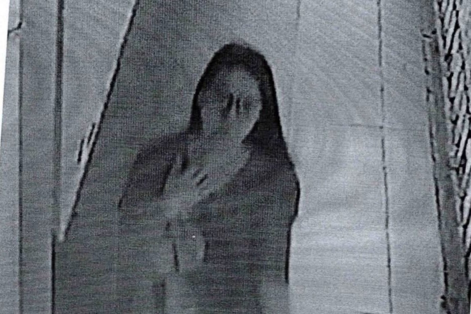 Bat nu nghi pham trom cap tai san cua hang loat luu hoc sinh Lao hinh anh