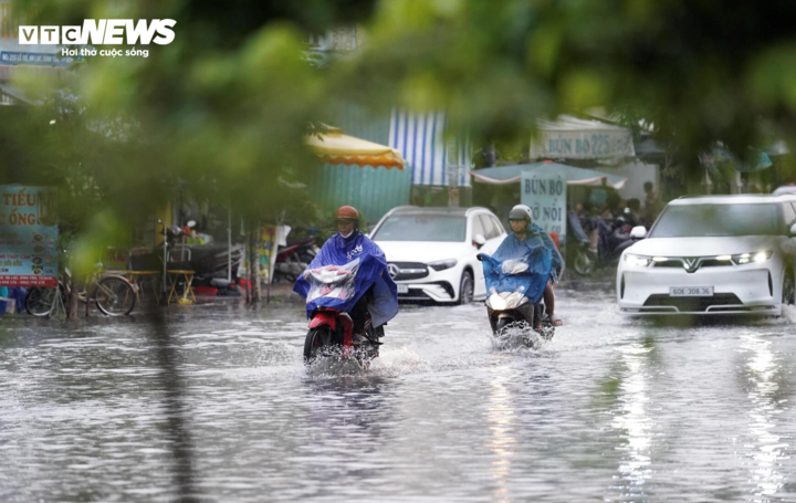 Bao so 14 Bao Fung-wong anh 1