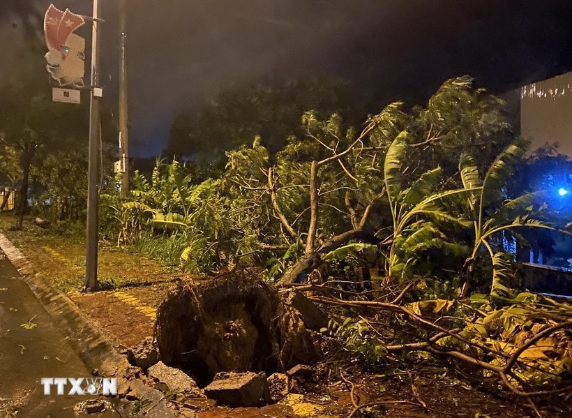 Bao so 13 Bao Kalmaegi anh 1