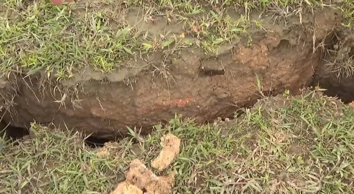 Bao so 14 Bao Fung-wong anh 3