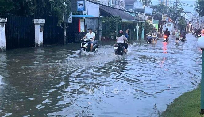 Trieu cuong lich su TP.HCM anh 2