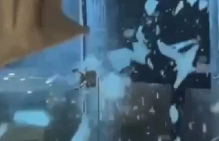 Bao Kalmaegi 'quat' vo kinh khach san o Quy Nhon hinh anh