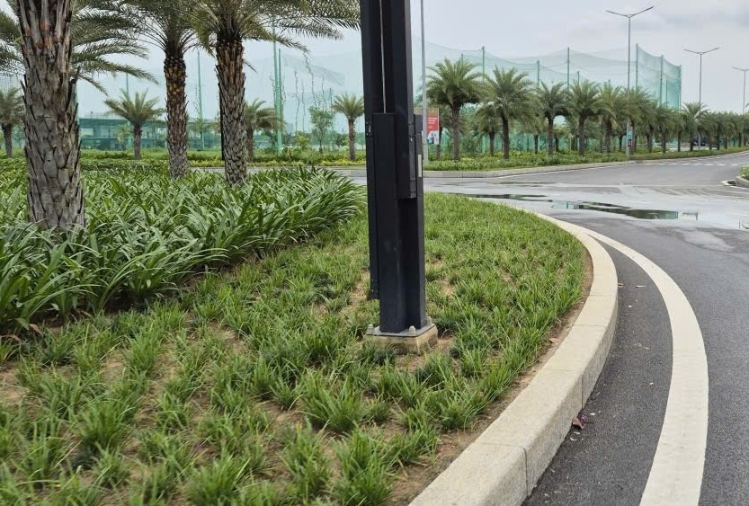 duong Lien Phuong TP.HCM anh 3