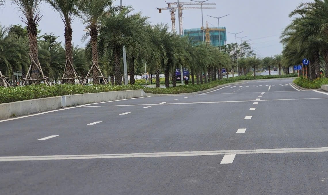 duong Lien Phuong TP.HCM anh 5