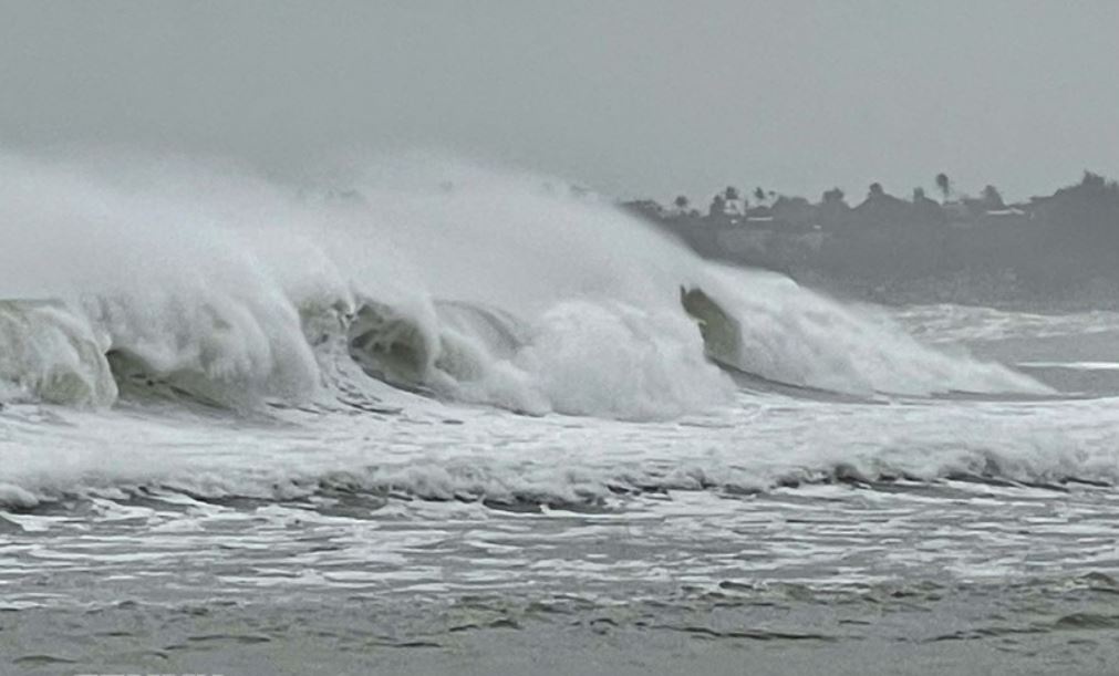 Bao Fung-Wong giu nguyen huong va cuong do hinh anh