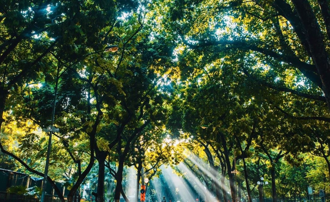 Thoi tiet mien Bac nhung ngay toi hinh anh